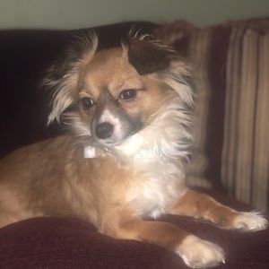 Meet your Posher, Brandy